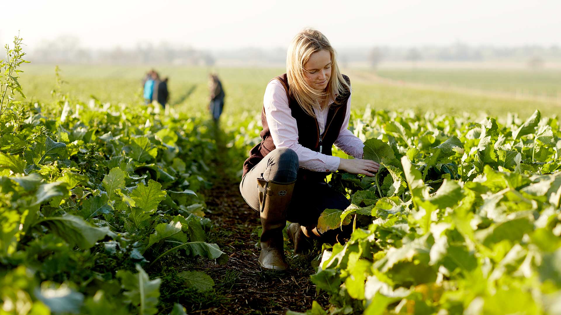 Ag-crops