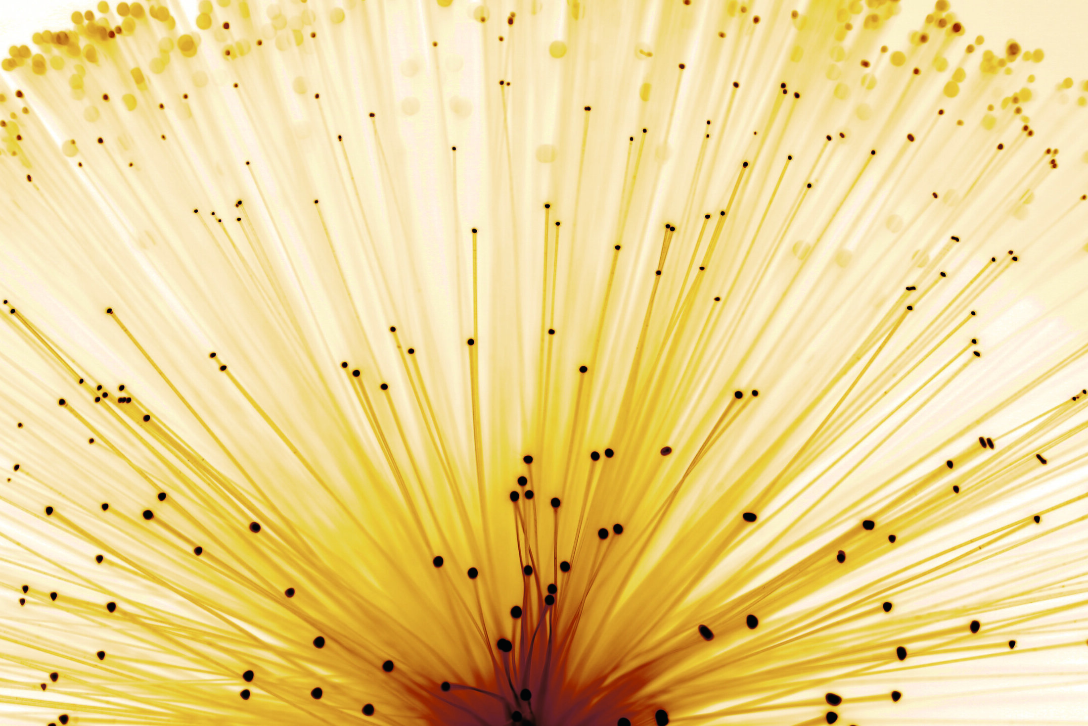 Stock_image_fibreoptics_1